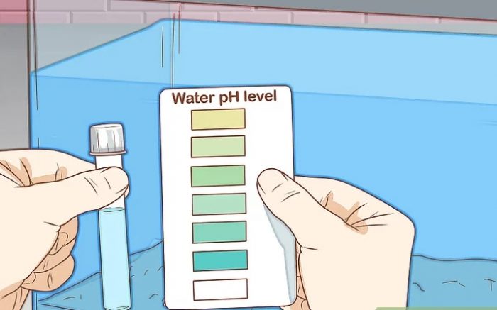 PH of A Guppy Fish