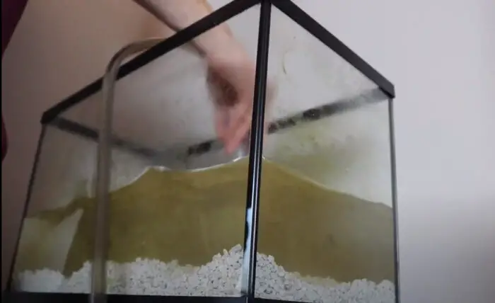 cleaning a goldfish tank