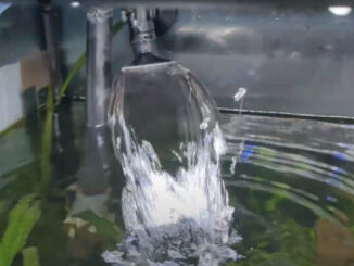 Increase Oxygen in a Fish Tank