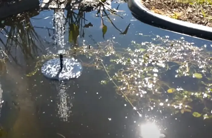 pond water fountain