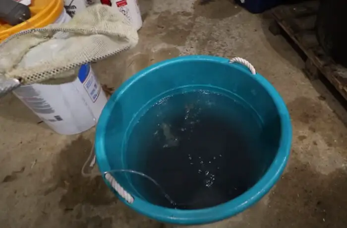 How Do You Keep Minnows Alive in a Bucket
