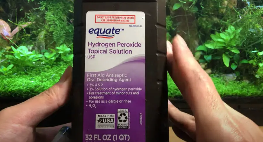 Treating Black Beard Algae With Hydrogen Peroxide