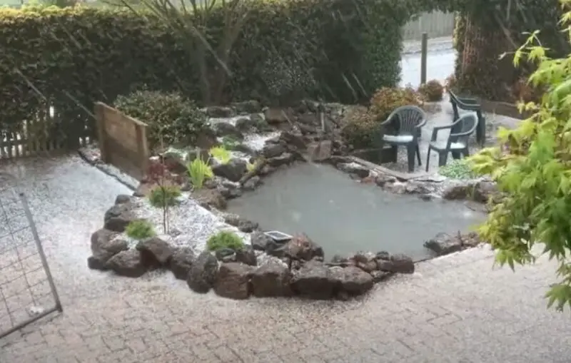 How Deep Does a Pond Need to Be for Catfish? {Why Catfish Die In Ponds}