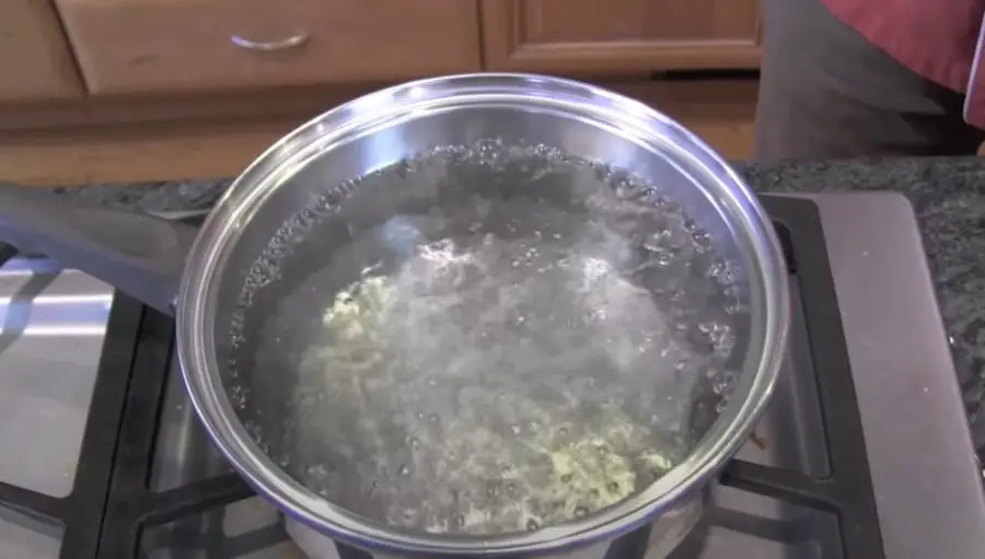 Will Boiling Water Kill Black Beard Algae